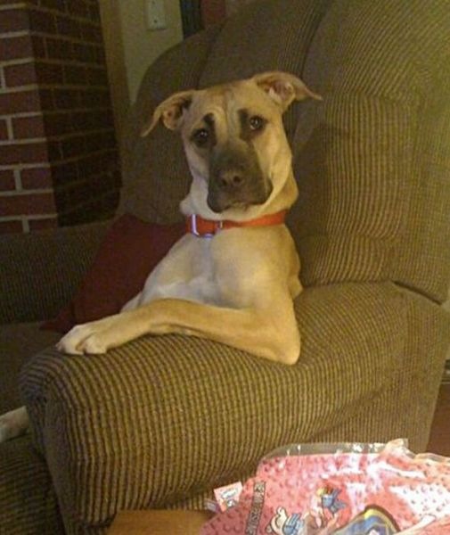 №6, Alexei Grunge №6, Alexei Grunge