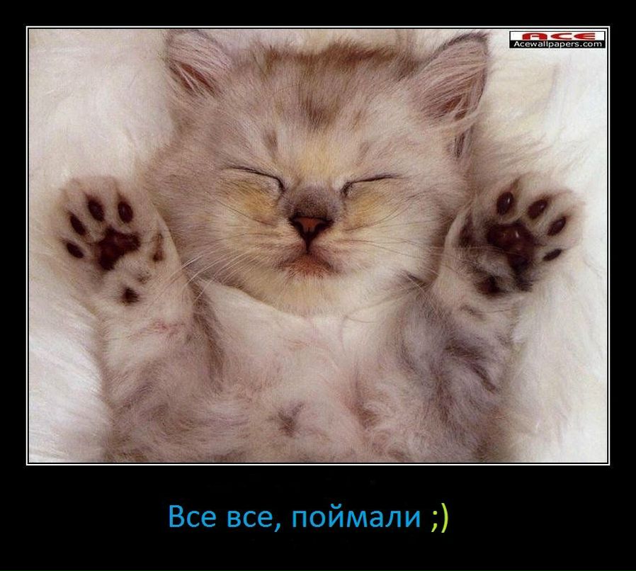 Евгений Бардин ForS | Воскресенск