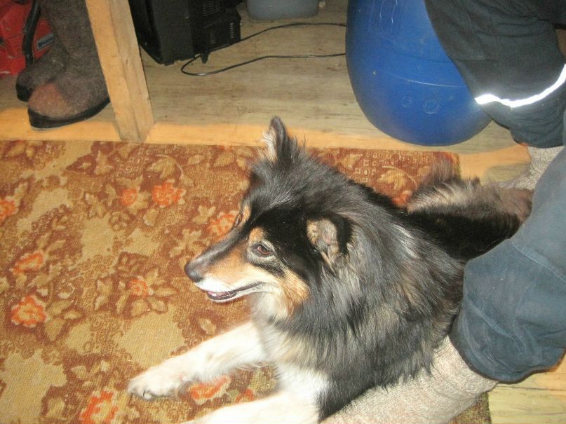 Миша Сищук Шмь)г@ | Сыктывкар