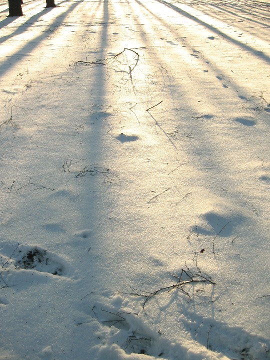 Вера Веселкова | Минск