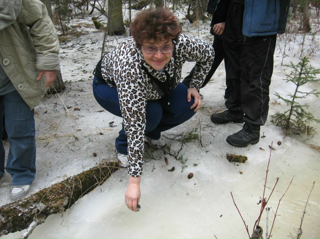 Елена Ташина | Канск