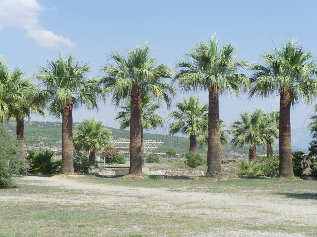 Мария Перевозчикова | Ижевск