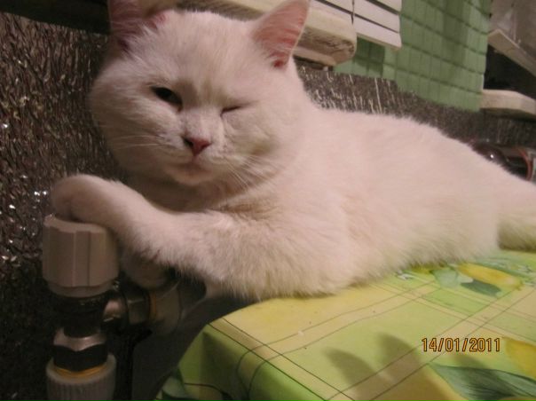 №120, Александр Горбатюк, 49 лет, Донецк №120, Александр Горбатюк, 49 лет, Донецк