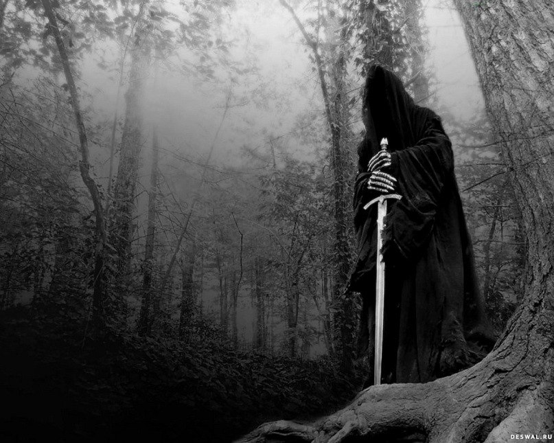 Евгений Рудаков | 