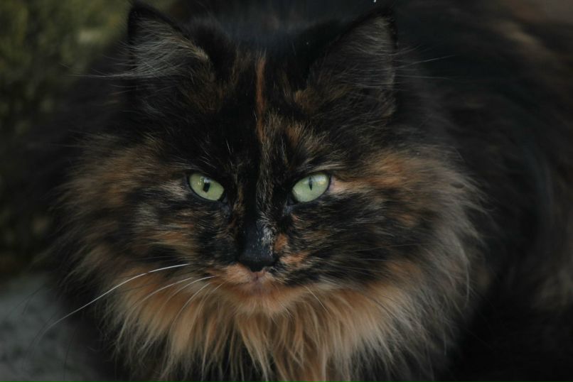 Денис Ахтунг | Одесса