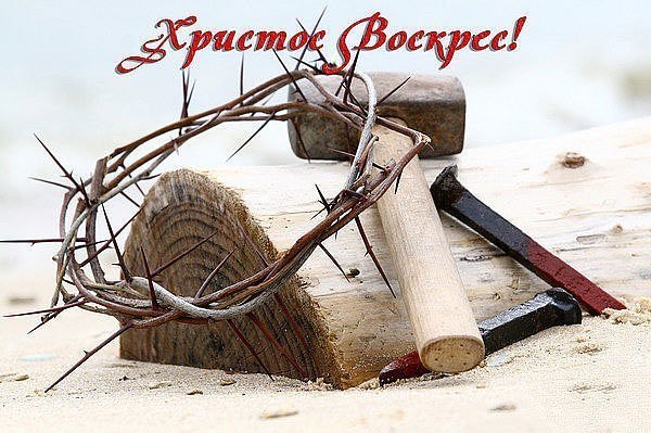 №51, Оксана Шкутенко, Харьков №51, Оксана Шкутенко, Харьков