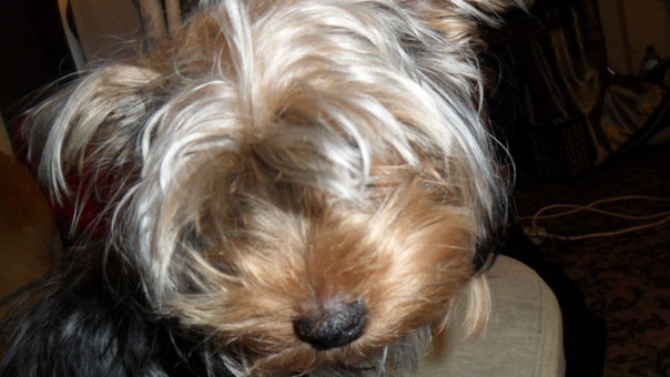 №86, Алёна Киселева, Санкт-Петербург №86, Алёна Киселева, Санкт-Петербург