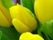 Кристина Фатьянова *Розкажи,мені на картах,де ти є* | Одесса