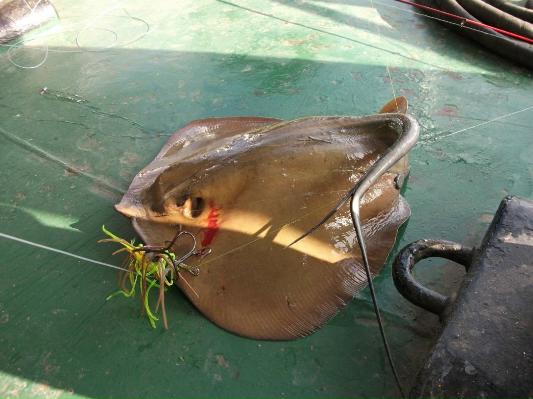 Антон Нужин | Ростов-на-Дону