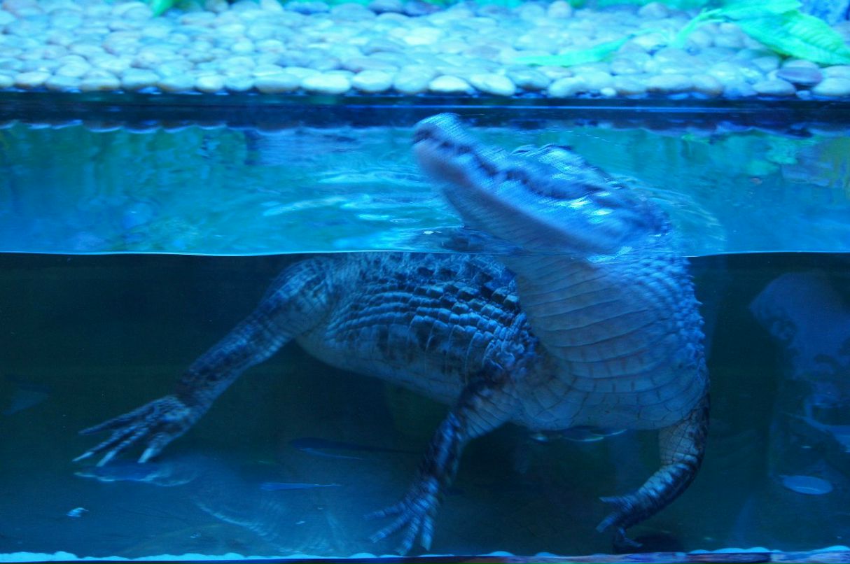 Людочек Зиннатуллина ღ♥ღ♥ღ♥ღ♥ღ | Муравленко