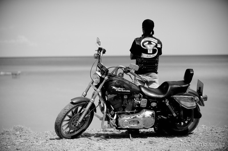 Андрей Рябенко | 