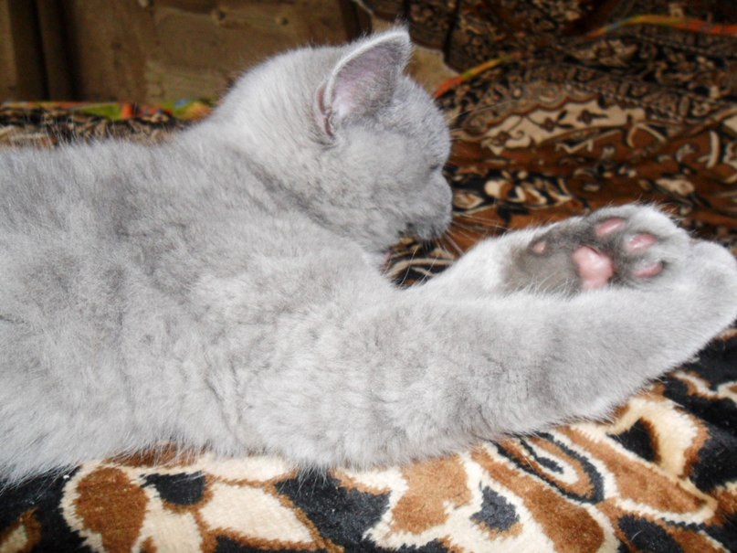 Лариса Потапова | Горишние Плавни / Комсомольск