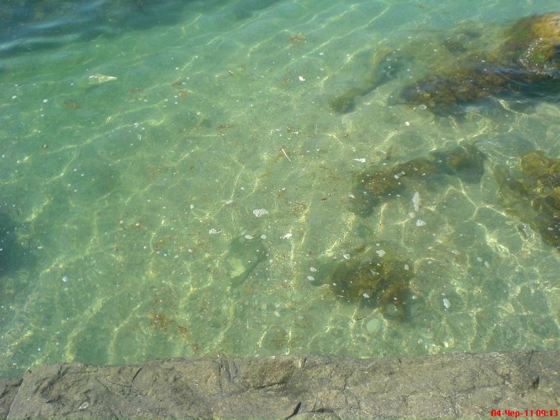 Vasia Pavlenko | Киев