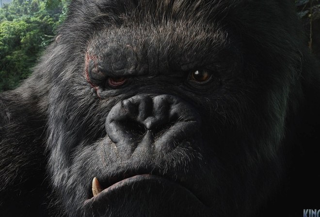 Роман Данилець | Львов