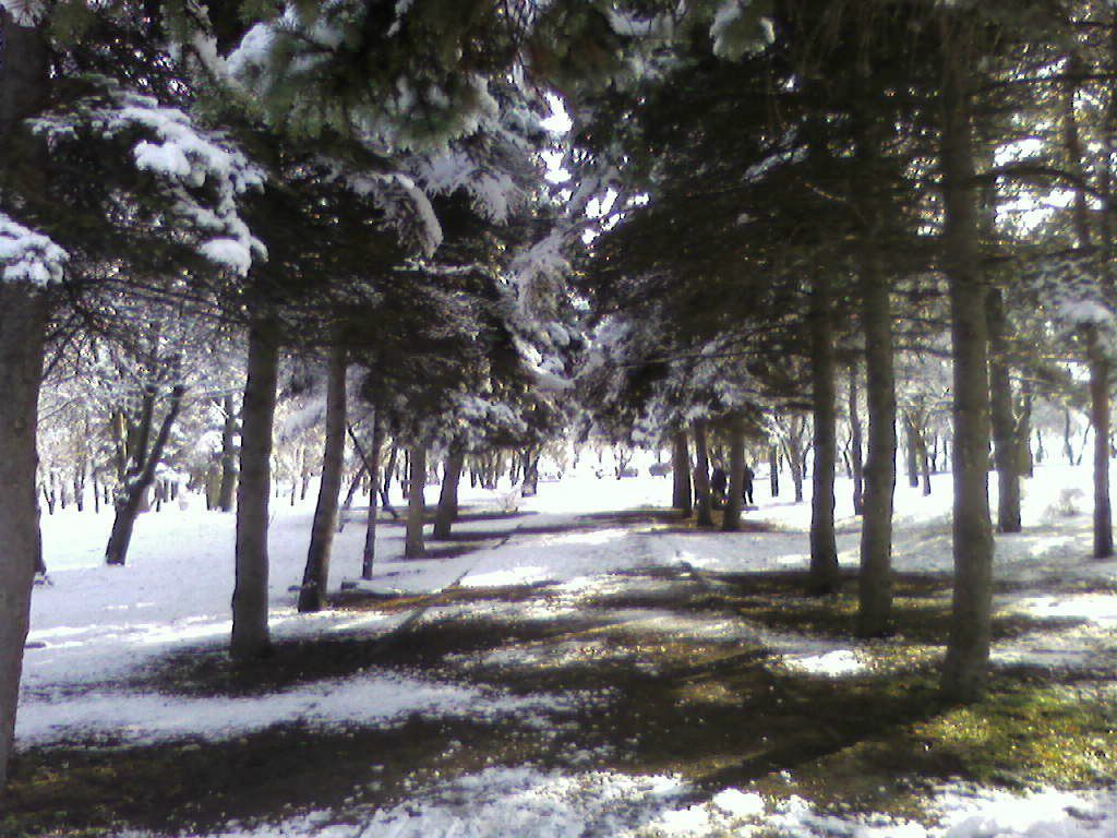 Наталья Розенкова | Таганрог