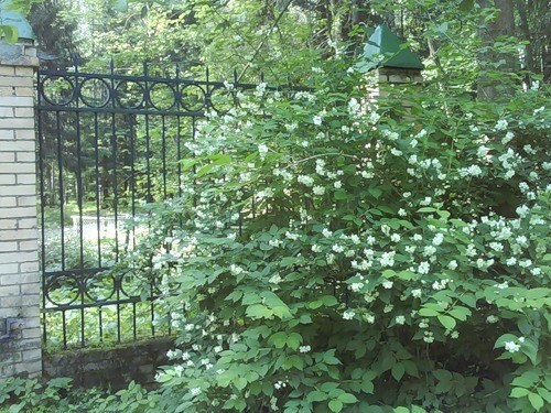 Владимир Марков | Москва