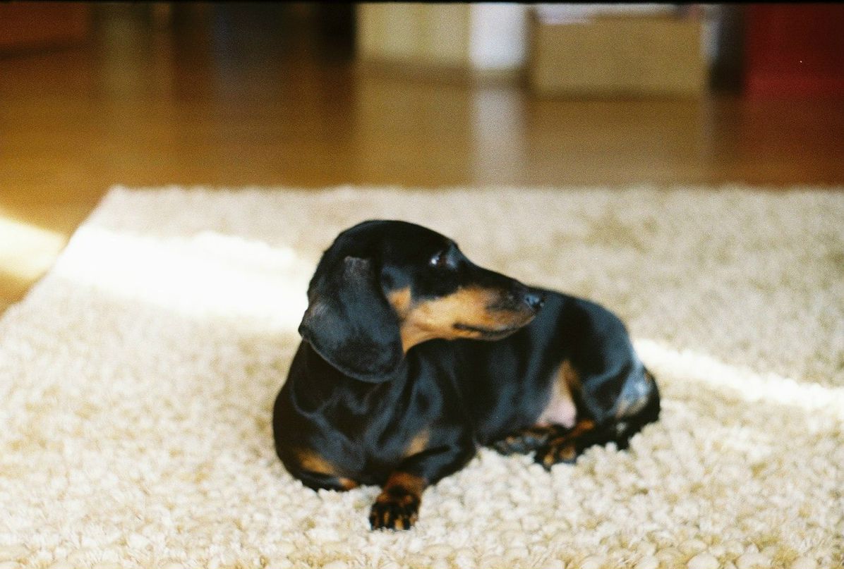 Тома Мироненко | Киев