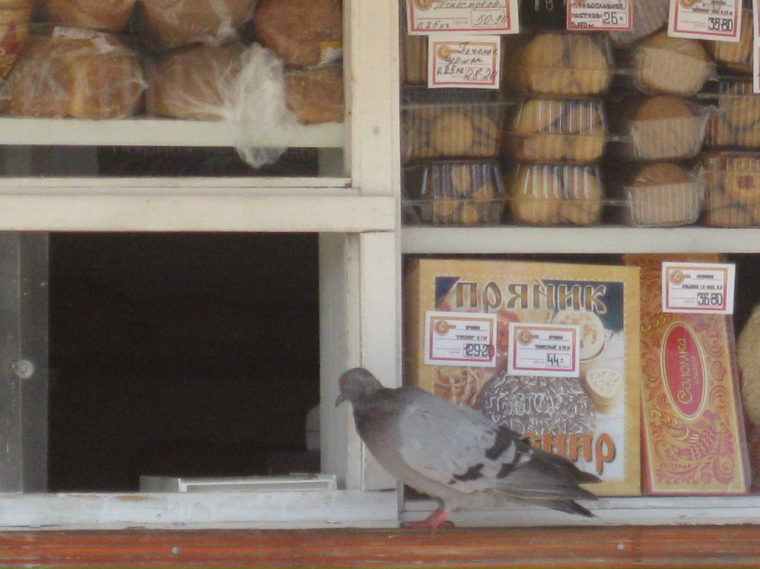 Oleg Olekshiy | Санкт-Петербург