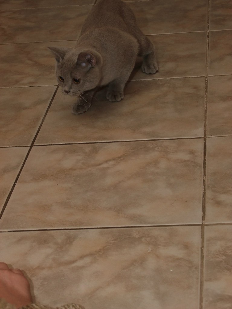 Вадим Барко | Киев