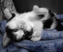 Фотография Коневой Нади