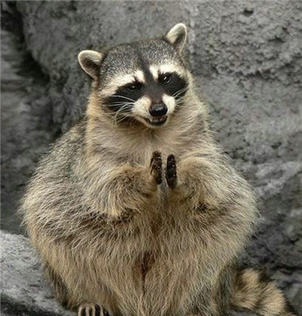 Ивар Д | Санкт-Петербург