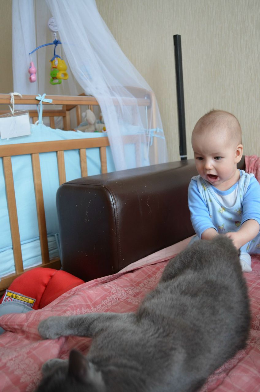 Елена Вавилова | Казань