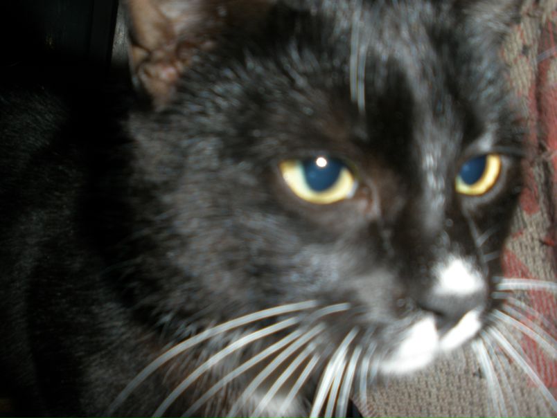 №66, Володимир Давида, Львов №66, Володимир Давида, Львов