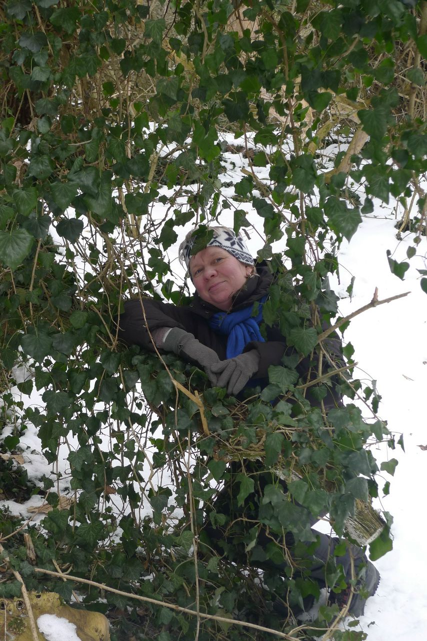 Юлия Сарболотская | Красноярск