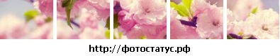 №40, Мария Семенова, 35 лет №40, Мария Семенова, 35 лет