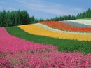 №29 Катя Борисова : профиль, фото, статус - ВКонтакте