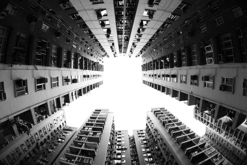 Антон Савичев | Владимир