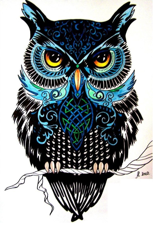 Максим Савицкий Owl4D | Ханты-Мансийск