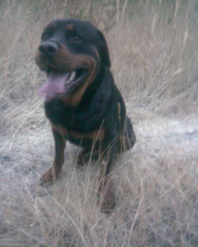 Александр Константинов | Йошкар-Ола