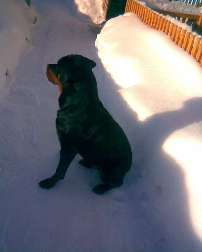 Александр Константинов | Йошкар-Ола