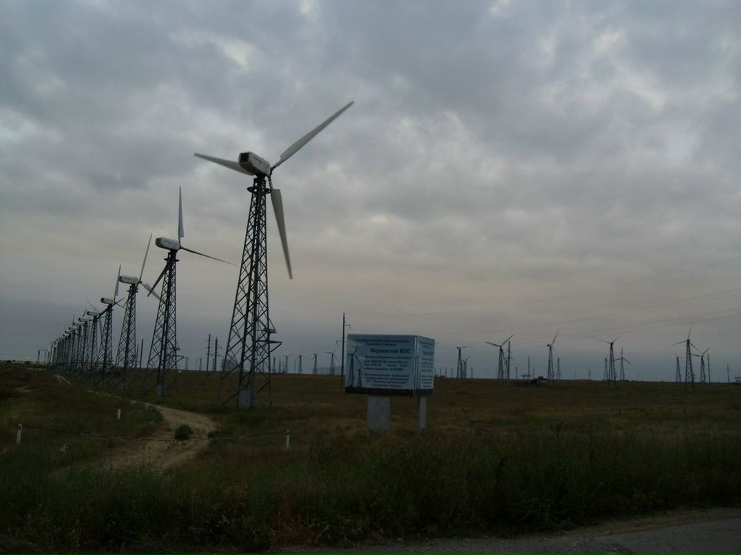 Инна Златкус | Несвиж