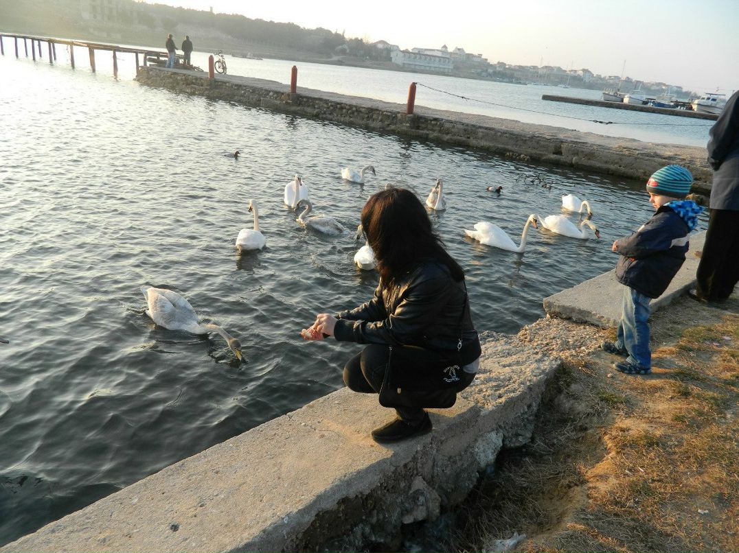 Наталья Фесенко | Киев