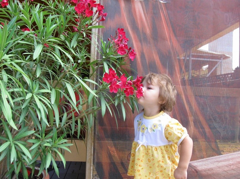 Марина Маликова Викторовна | Луганск