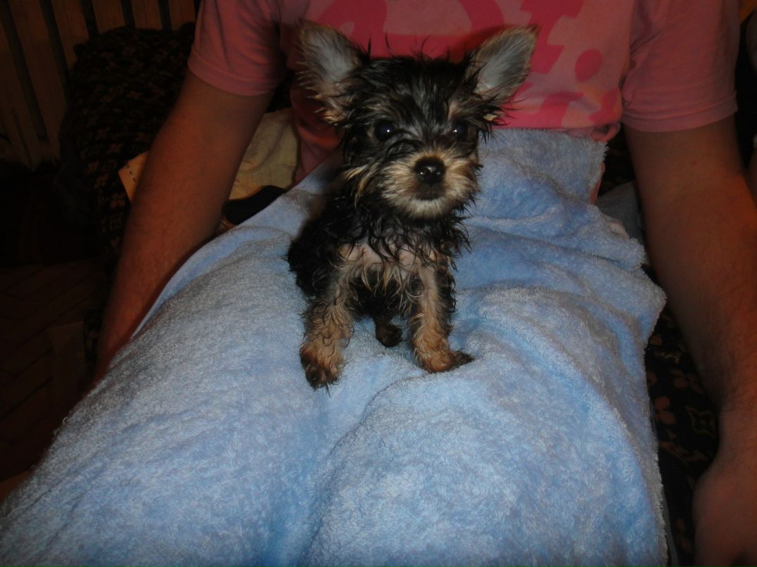 Григорий Фёдоров defiler | Москва