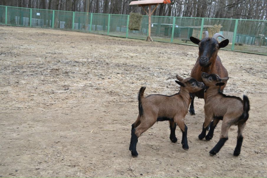 №94, Алина Рубина, 40 лет, Харьков №94, Алина Рубина, 40 лет, Харьков