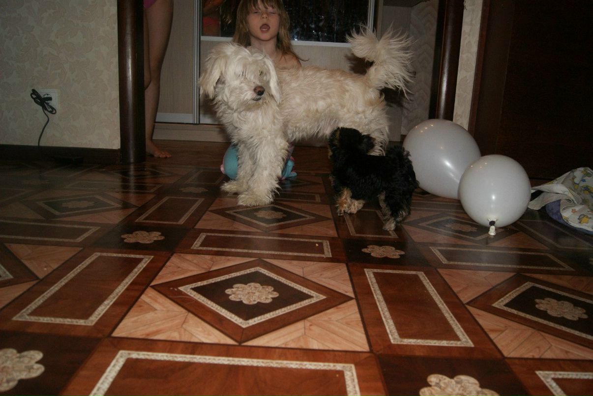 Евгения Рожкова | Самара