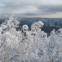 Скорынин Александр