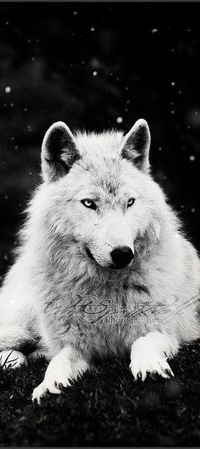 Валентин Николаевич