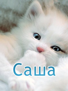 Александра Карелина, Россия, Таганрог