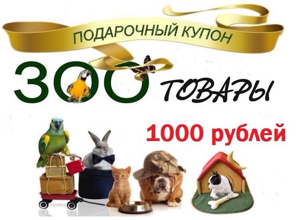Зверолаш Зоомагазин Интернет Магазин Спб