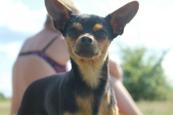 Эраст Гарин, Россия, Москва