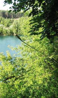 Нина Романова
