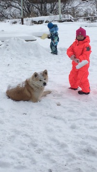 Иван Кудрявцев