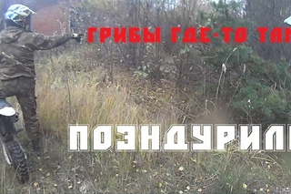Грибное эндуро полная версия.