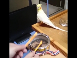 П'ятничний відрив