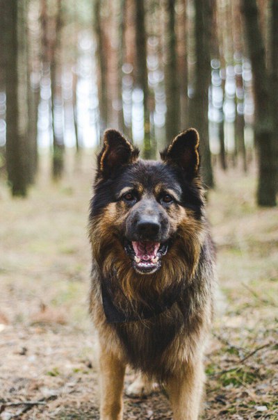 Настя Сенина, Россия, Москва